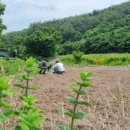 청산양봉원 이미지