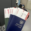 981 | 부산 김해공항-푸꾸옥 ZE981 후기 +유아 좌석 배정