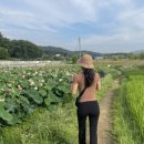 왕송호수 산책로(정자) 이미지