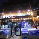 갈매기회집 | 고창 해물숯갈매기 / 고창 횟집 맛집 / 고창 참돔 맛집 내돈내산 후기