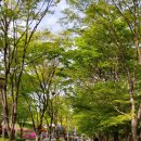 수리산로 4 네이버블로그