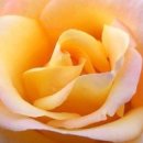 아름다운 이미지