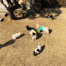 W&W(와앤와) 이미지