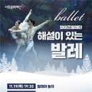 해설이 있는 발레 네이버블로그