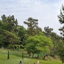 득량 | 두 달 만에 다시 찾은 보성 득량 파크골프장, 자연 속 힐링 라운딩 후기 ⛳🌿