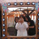 고양이나라 이미지