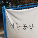 상창농장 이미지