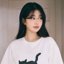 로라 이미지