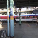 태능카인테리어 | [대구 여행] 벚꽃시즌 1박2일 대구 여행기