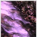 여주-0904 이미지