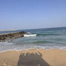 주문진항문어 | [주문진] 주문진항 수산시장 &amp; BTS 버스정류장, 10만 원의 행복 해산물 파티 (26.01.16/우정여행)