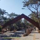 잠원초교-1구간 이미지