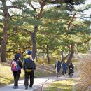 우면산3-25 이미지