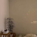 스테이 도랑 이미지