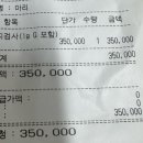 남산연합동물병원 이미지