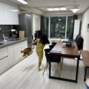 레이지507B 이미지