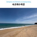 화니코스 | 속초해수욕장 맨발걷기 좋은 동해바다 산책 코스 방문 후기
