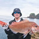 날마다당구 | 프로당구선수의 갯바위 찌낚시 / AMG 티타늄 플레이트 접시 22cm 사용후기