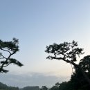 한양파인컨트리클럽 골프연습장 | [세계 이곳저곳] 한양파인CC 수도권 가성비 골프장 라운딩 내돈내산 방문 후기 (그린피, 위치, 코스 상태)