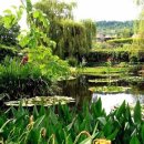 모네의 정원 이미지