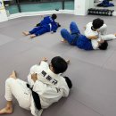 (Dream of Judo) 대전유도관 이미지