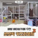 키즈멍 | 배방 월천지구 신규오픈한 베이비카페 '쏘소박 키즈라운지' 내돈내산 후기