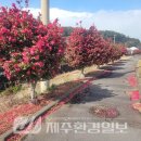 남원읍-43 이미지