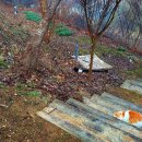 좌천동물병원 이미지