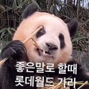 아유