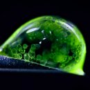 Will PC ZONE 이미지