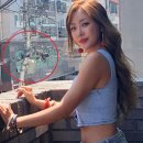 전봇대 옆 이미지