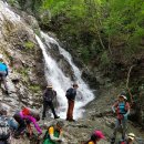 참새미골 이미지