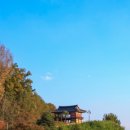 영주 자전거공원 이미지