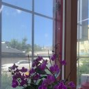 율칼국수 | 삼척 맛집 율칼국수 멸치칼국수 맛있어요~