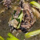 남촌한방백숙 이미지