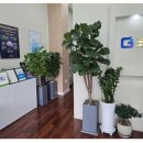 굿모닝보청기부천남부센터 | 아버지 보청기 바꾸고 만족한 부천보청기업체 후기 굿모닝보청기 부천원미센터