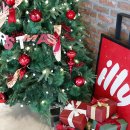 아이비586 이미지