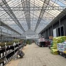 서울종묘사 이미지