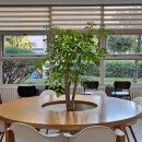 용강2주공 이미지