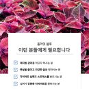 올라잇