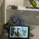 은진세탁소 이미지