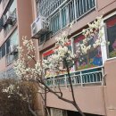 둔산봄약국 이미지