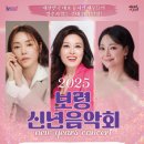 2025 보령 신년음악회 이미지