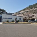 왕지로타리 이미지