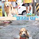 뭉치농장 이미지