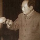 선진코리안 이미지