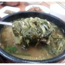 철마원조추어탕 이미지