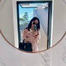 슈가브리움 이미지