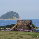 그냥 심심해서요. (21454) 이중섭의 서귀포 섶섬 이미지