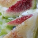 듬뿍농장 이미지